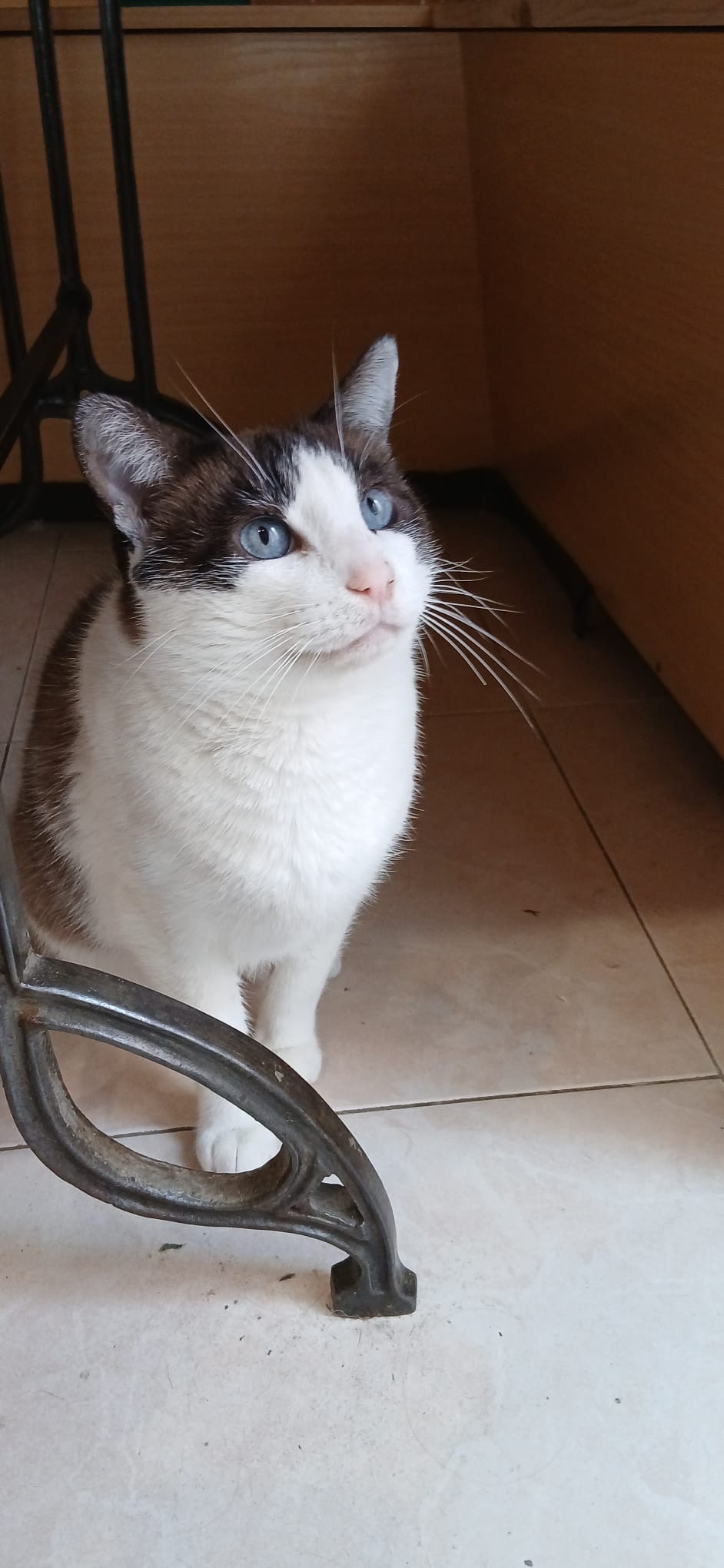 05ac9837-283a-4297-8cb7-3d975601d8ca