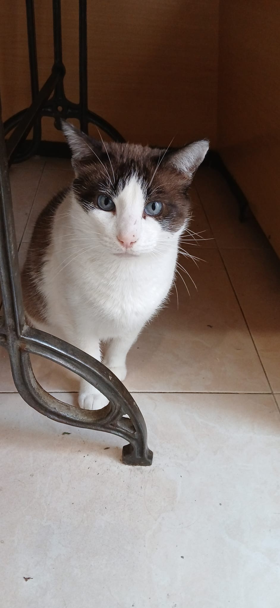 187c6a13-00e4-4997-b286-675dcbb018cb