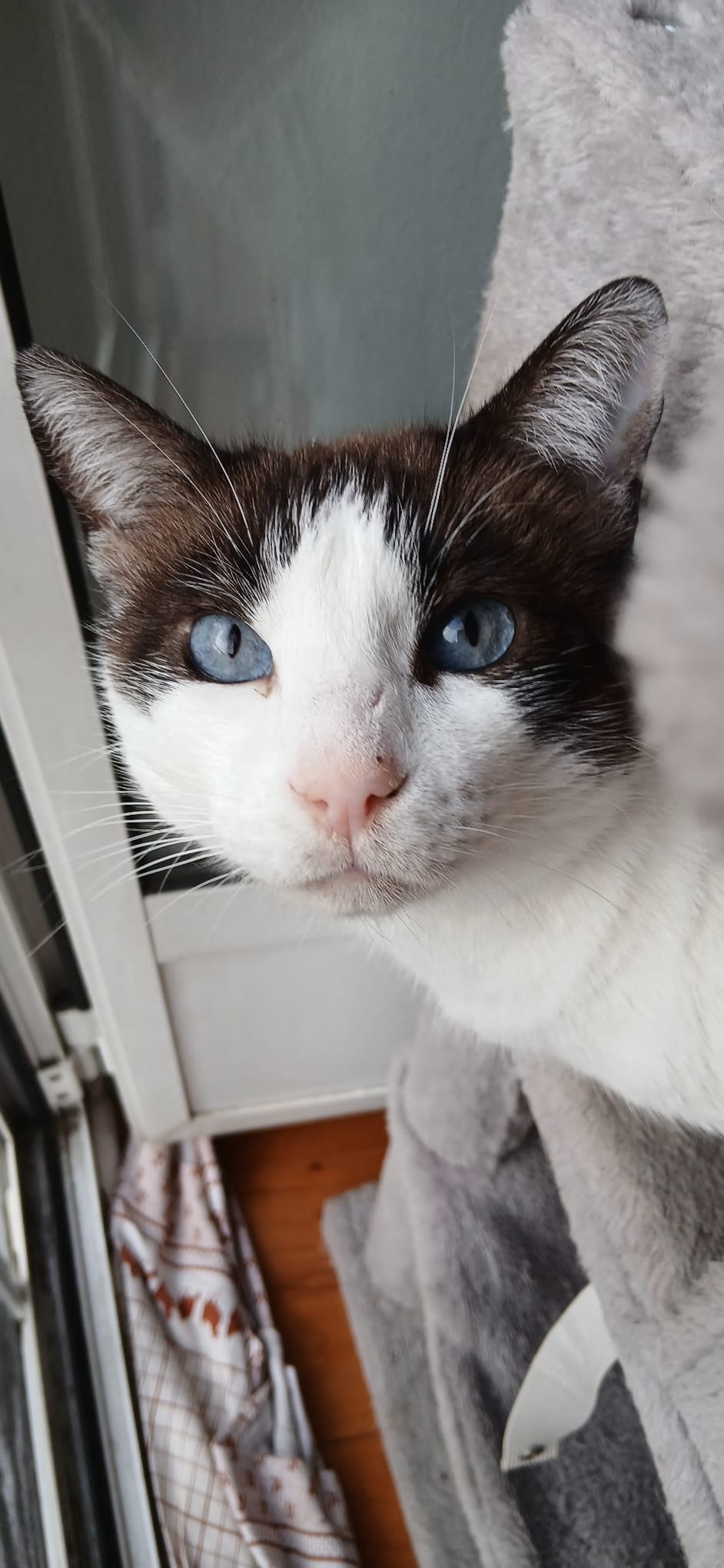 4644add5-9439-4044-99e6-b914fc07ef7a